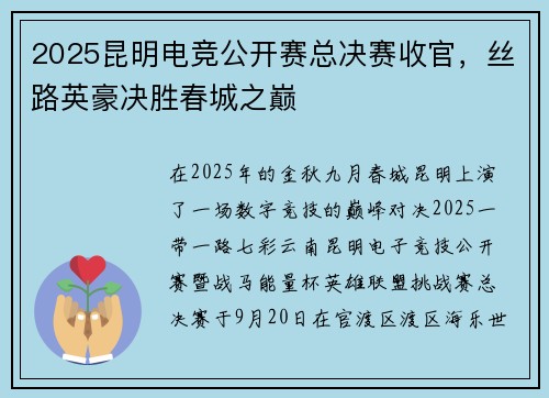 2025昆明电竞公开赛总决赛收官，丝路英豪决胜春城之巅